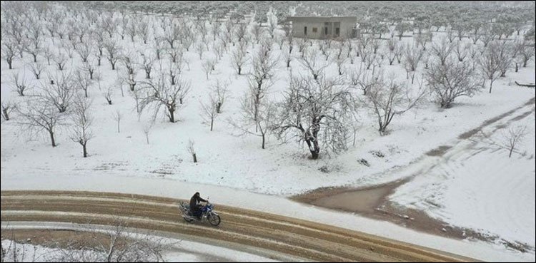 Snowfall In Saudi Arabia Photos Go Viral