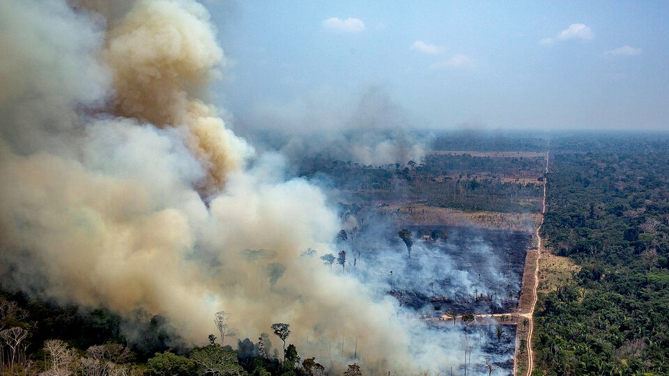 Brazil: environmental devastation
