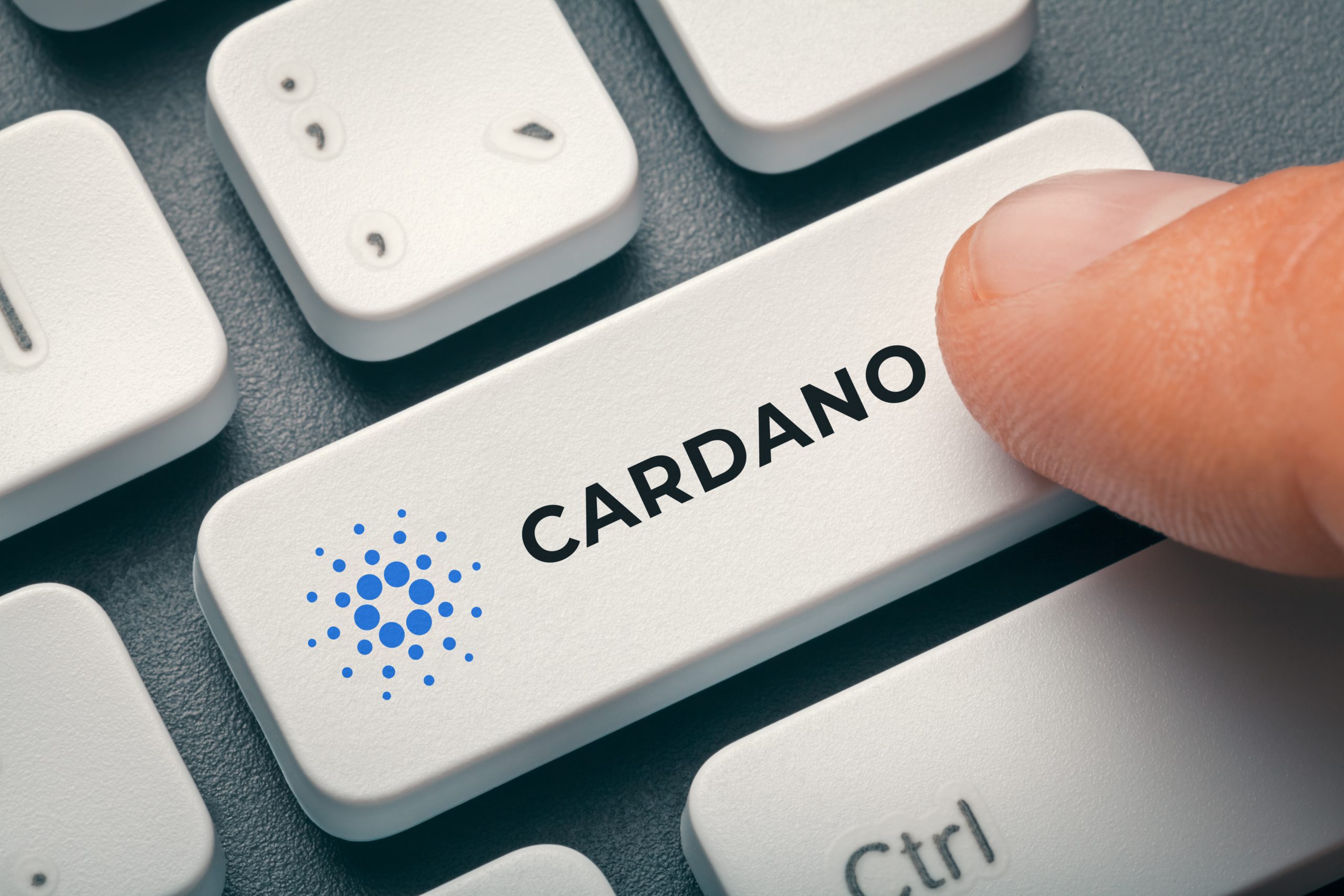 Cardano Daedalus brings a ton of great features to the ADA ecosystem
