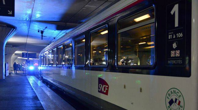 France makes trains free for Ukrainian refugees
