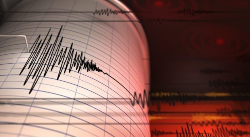 Severe earthquake, tsunami warning issued in Japan
