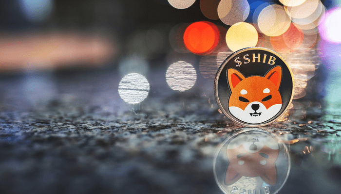Cardano and shiba inu often long held by Coinbase users