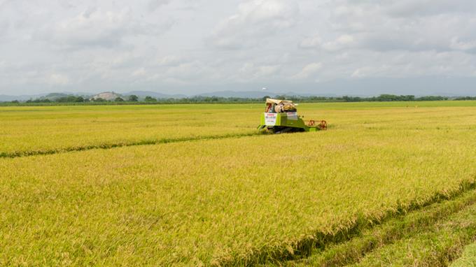 Los importadores de productos agropecuarios saludan el subsidio a los fertilizantes