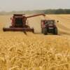 War in Ukraine: should Europe fear a grain shortage?