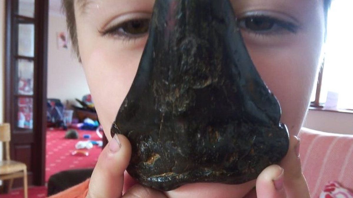 6-year-old boy finds megalodon tooth on beach

