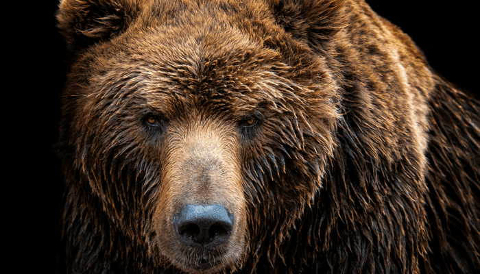  Are altcoins heading for a bear market?  John is looking at bitcoin, ethereum and more!
