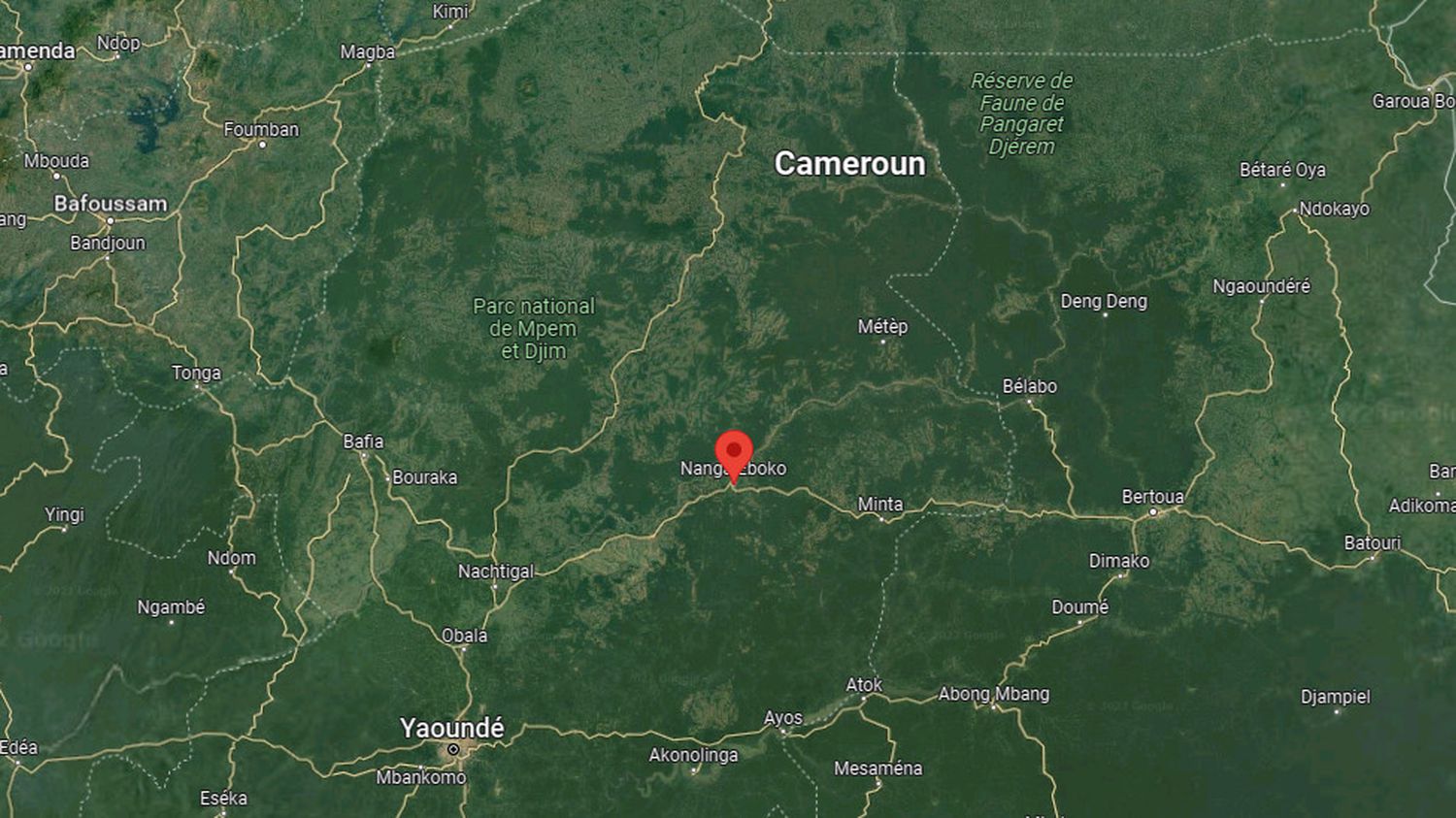 Cameroon: plane crashes in forest with 11 people on board
