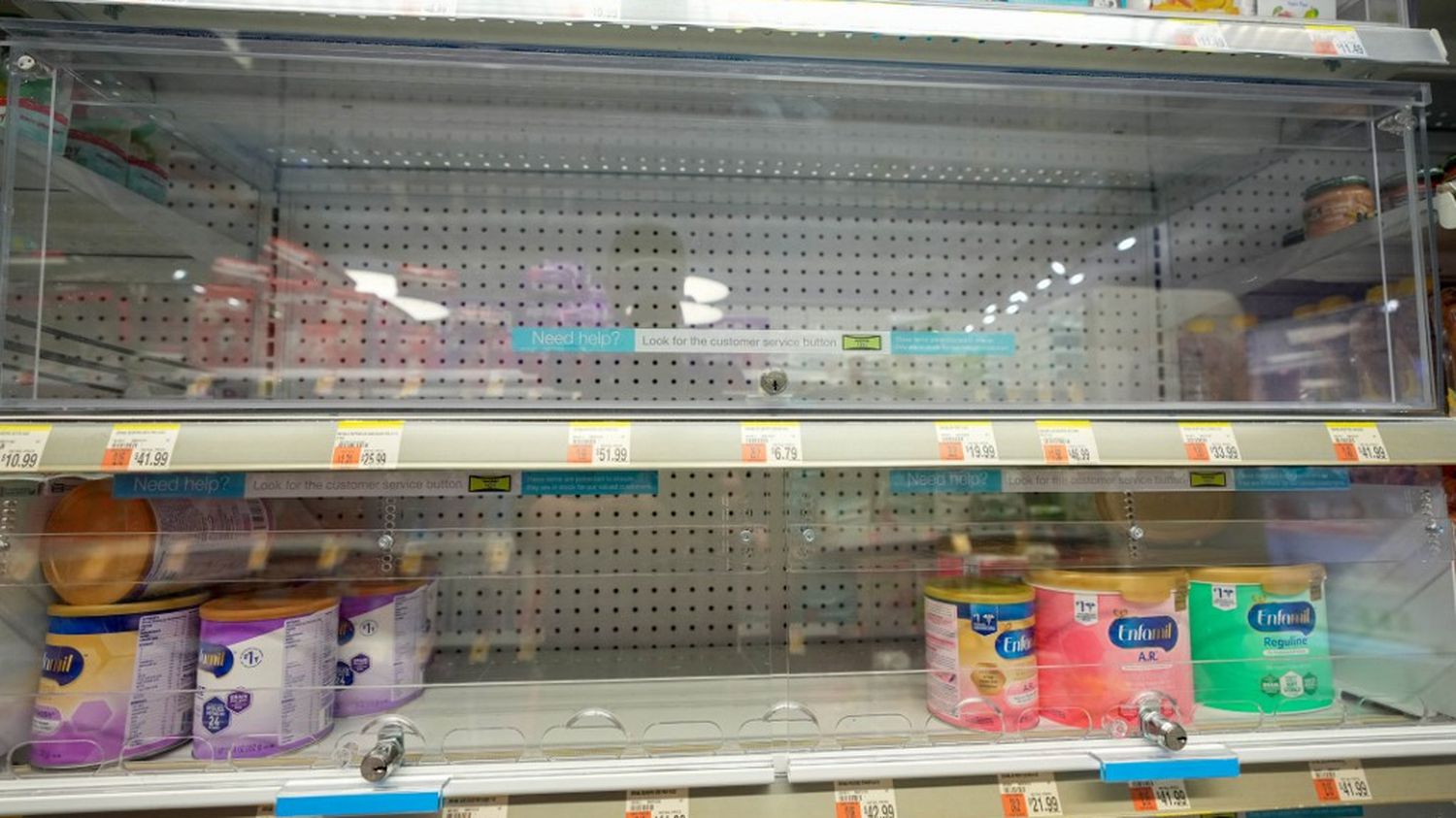 In the United States, the dismay of parents faced with the shortage of baby milk
