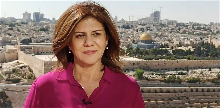 Israeli forces deliberately shoot female journalist: report
