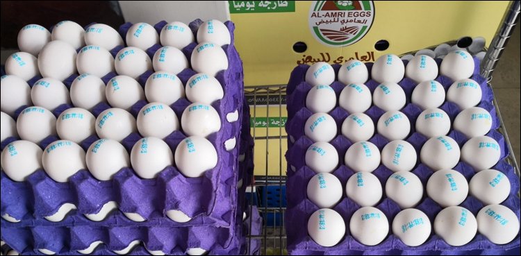 Saudi Arabia: Important news about the egg crisis
