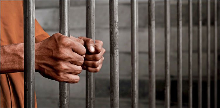 Saudi Arabia offers prisoner release
