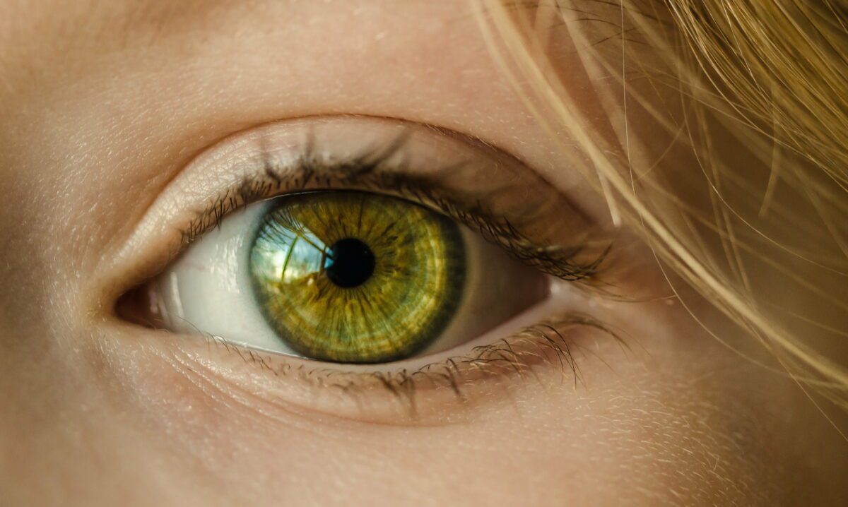 Scientists Trying Immortality Can Activate Vision Cells in Donor Eyes

