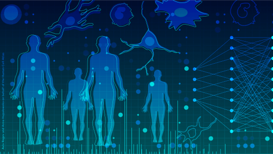 They create an open access atlas of the human body's immune cells

