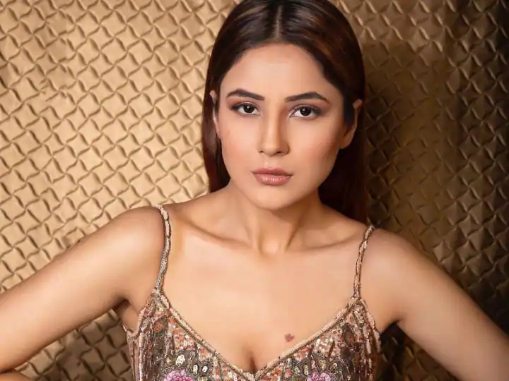 This Shahnaz Gill Photoshoot Went Viral Check Out The Hot Look In Pictures