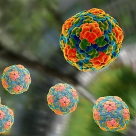 US investigates deaths of five children from hepatitis

