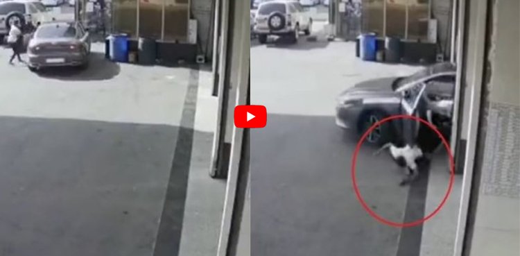 Video: The thief had to give and take after the incident
