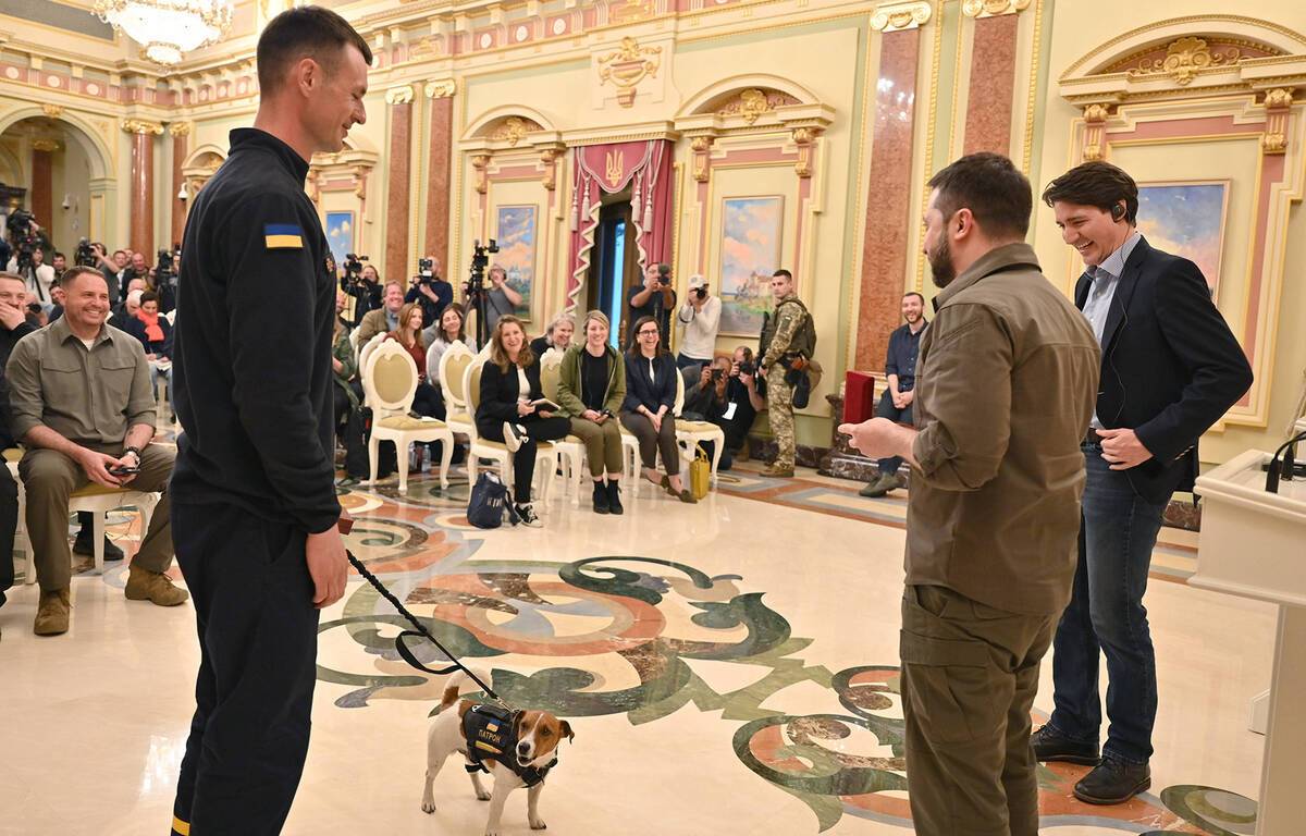 Volodymyr Zelensky presents a medal to an explosive detection dog
