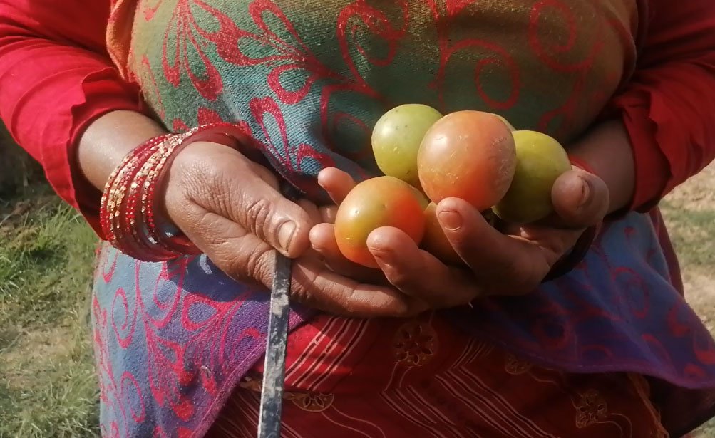 The story of Jumna. How did home gardening change his life? 1654688773 602 The story of Jumna How did home gardening change his