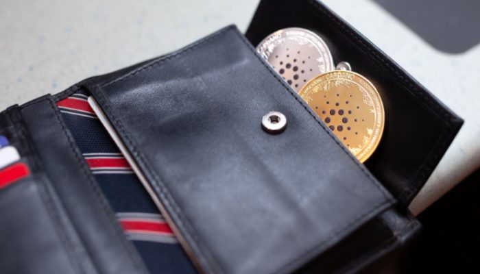 Cardano introduces Lace: A new light wallet