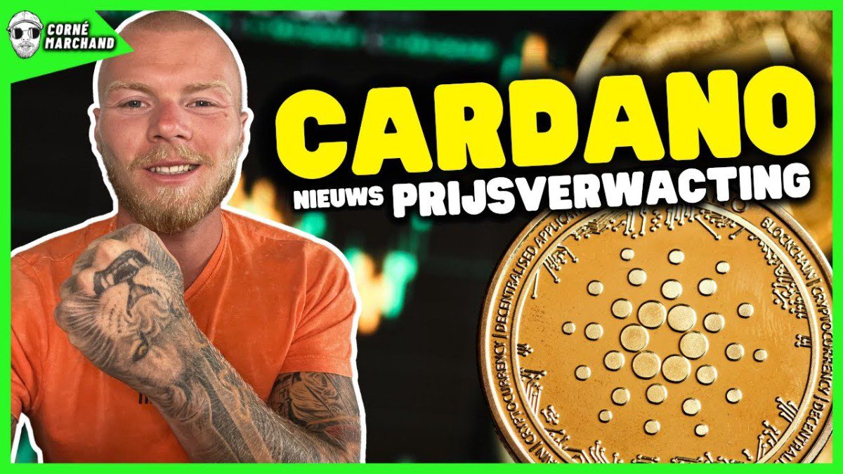 Cardano outperforms bitcoin, these are important price levels
