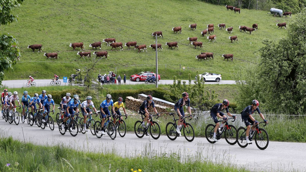 Crtiérium du Dauphiné 2022 schedule, TV and where to watch the race