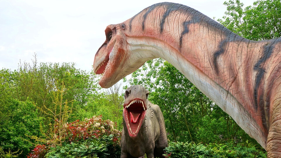 De-extinction: What would happen if dinosaurs came back to life?

