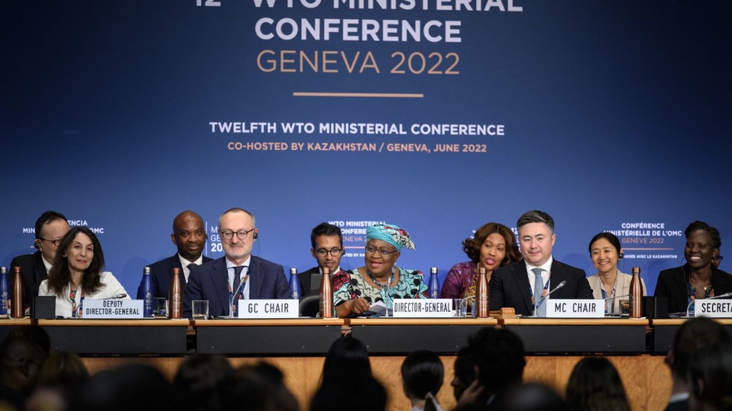 Fisheries, food security... The WTO adopts an "unprecedented" package of measures
