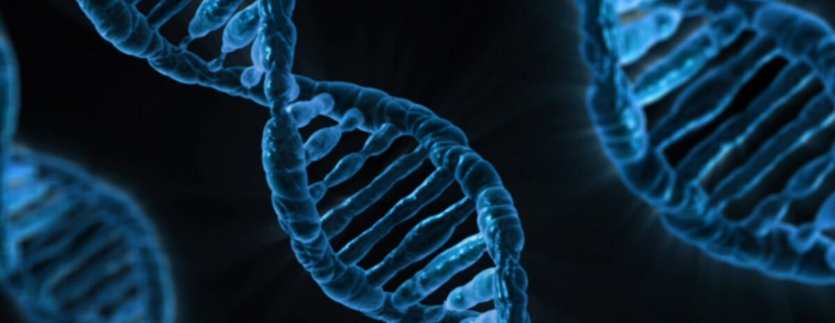 Genetic mutations - DNA deteriorates due to quantum effects

