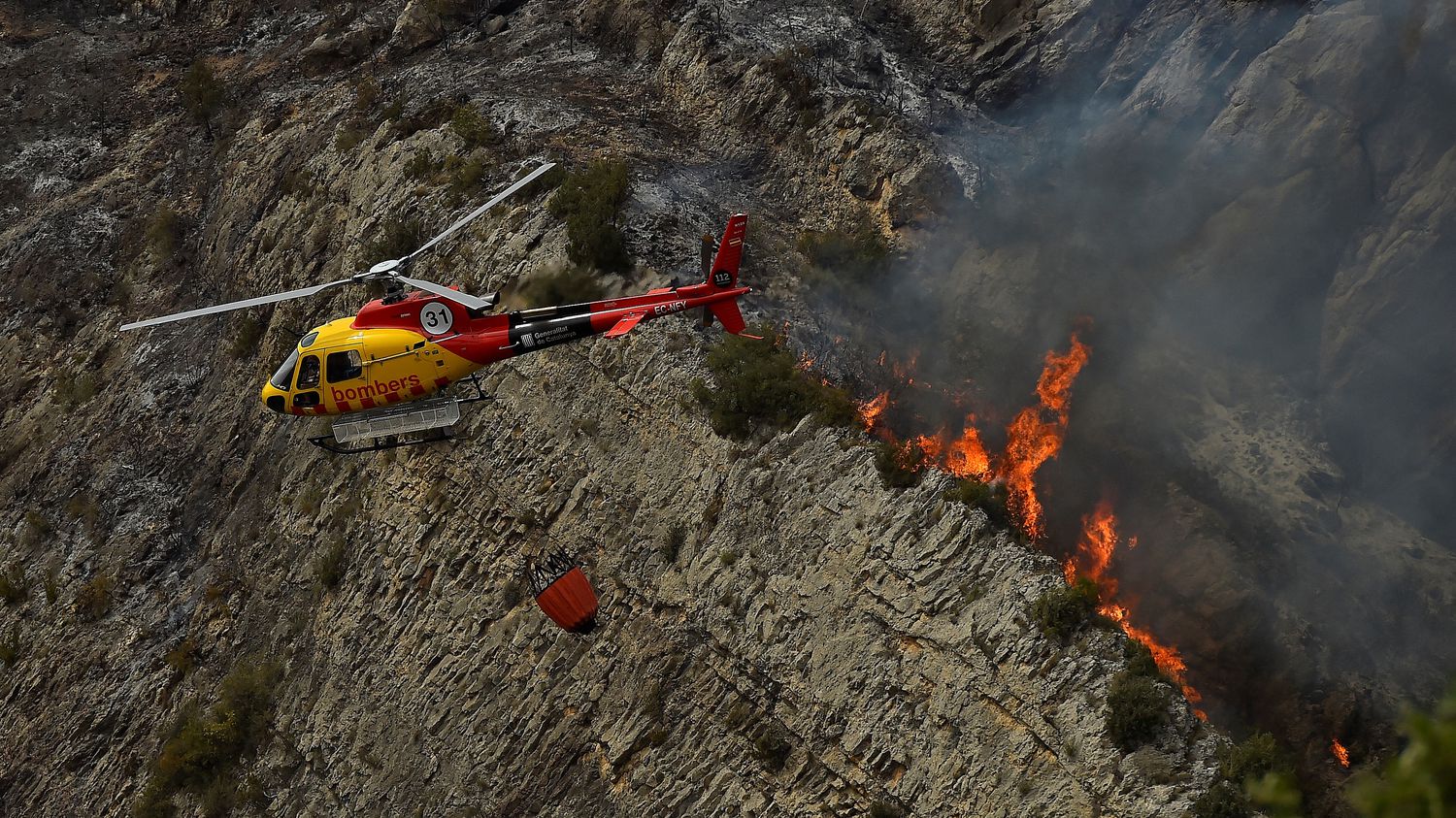 Heatwave in Spain: more than 20,000 hectares have gone up in smoke as the fires gain ground

