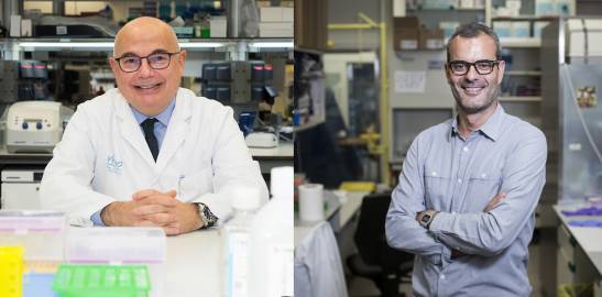 Josep Tabernero and Salvador Aznar-Benitah, Lilly Awards for Biomedical Research 2022

