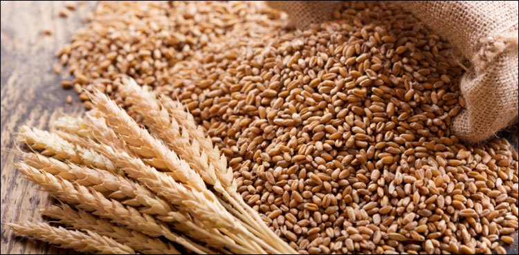 UAE bans Indian wheat exports
