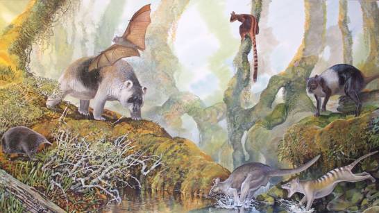 This is the new genus of prehistoric giant kangaroo from Papua New Guinea

