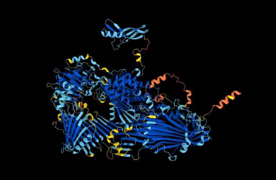 AI predicts the structure of almost every protein known to science


