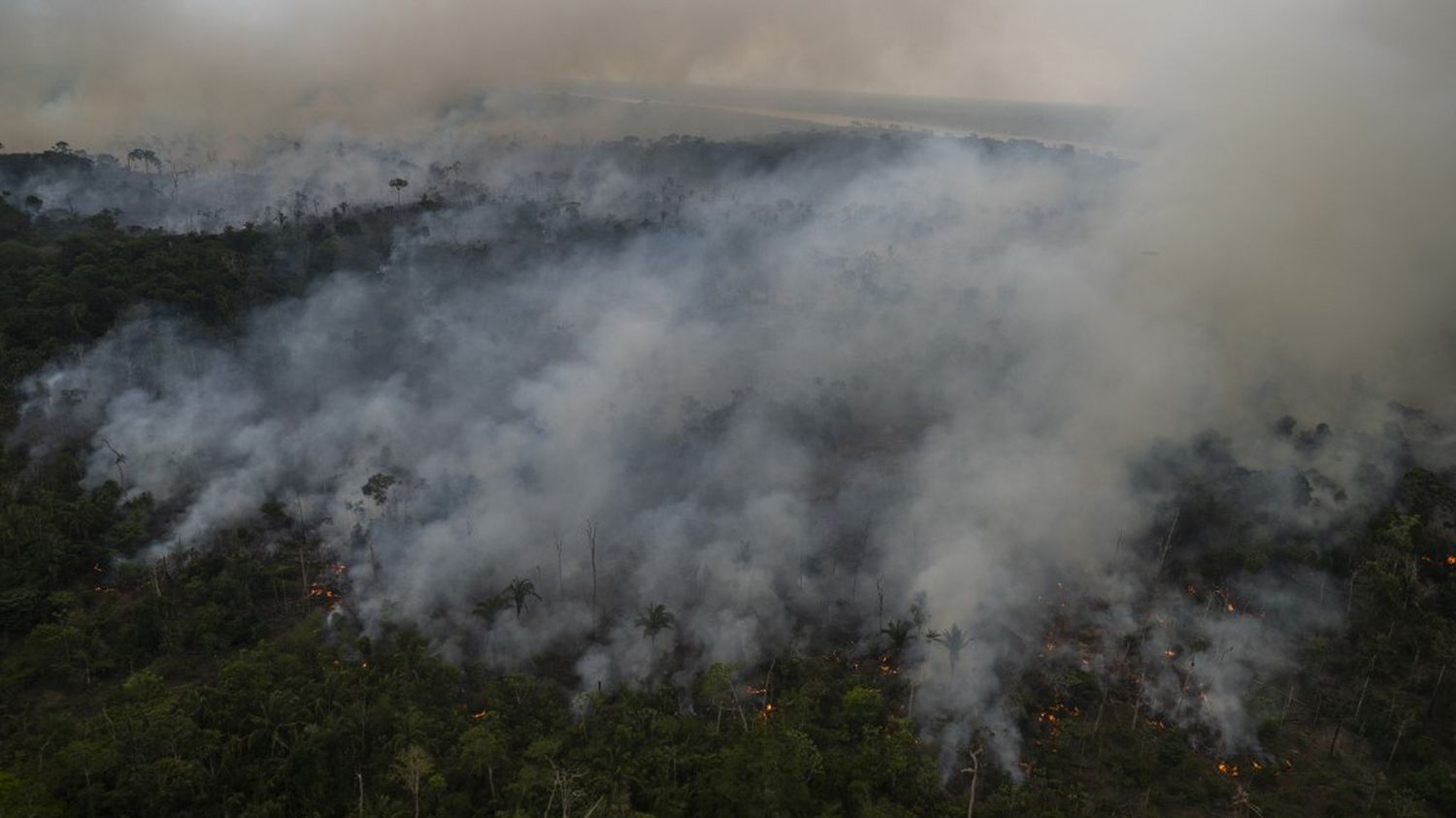 Brazil: deforestation in the Amazon reaches a record pace in the first half of 2022
