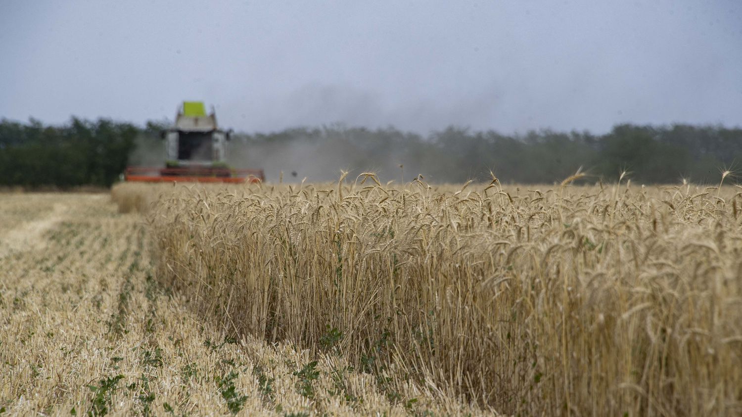 Cereal exports four questions on the agreement signed between kyiv and