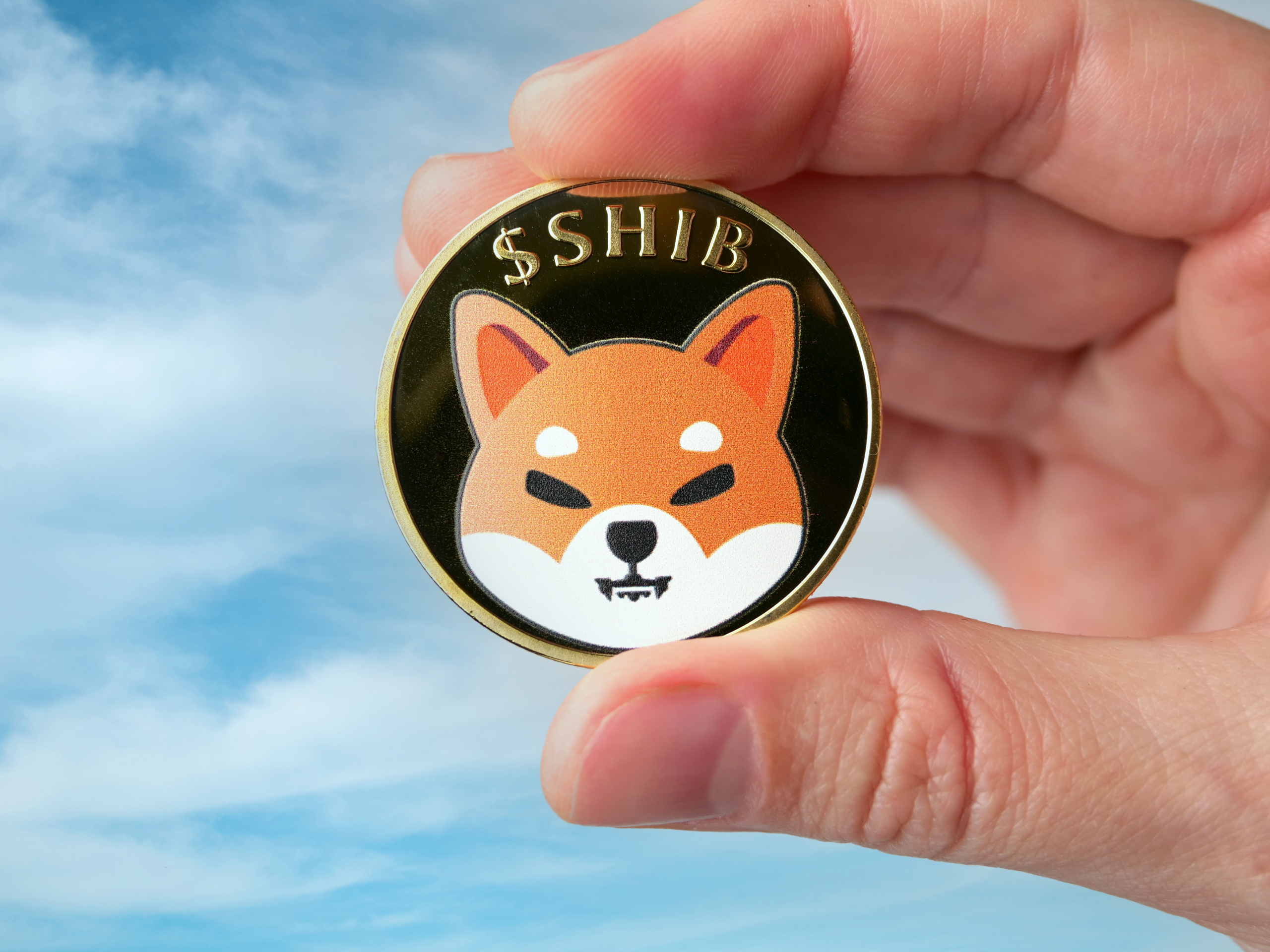 Crypto Whale buys 1 trillion Shiba Inu coins in 1 day
