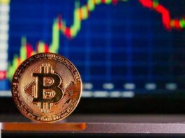 Cryptocurrencies: the FTX platform wants to buy BlockFi
