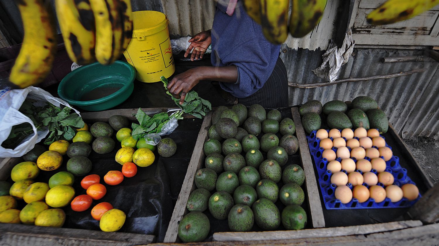 Food insecurity: one in five Africans went hungry in 2021
