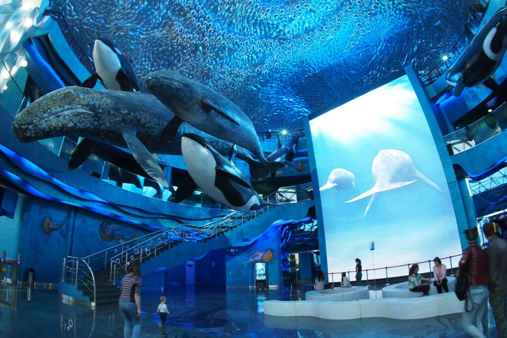 Science trips - Whales hanging from the ceiling: the best museums to see them in the world whales museum Vladivostok