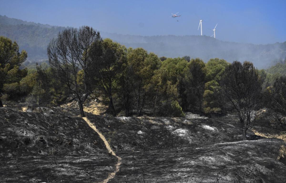 State of natural disaster declared in Spain due to fires
