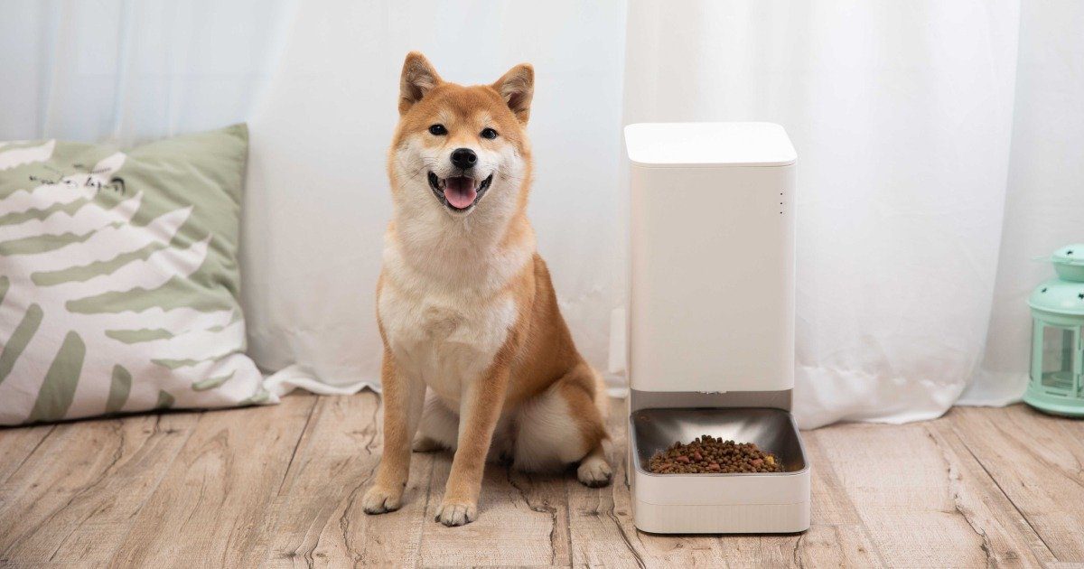 Xiaomi has the best gadgets for your dog and cat at a good price!

