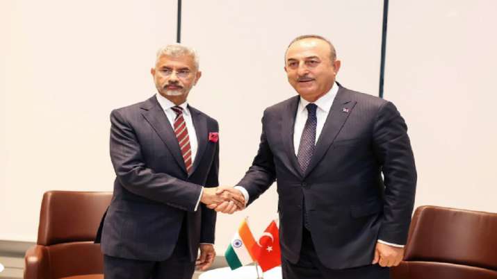S Jaishankar: S Jaishankar met Turkish Foreign Minister Mevlet Kavusoglu, discussed the Cyprus issue 
