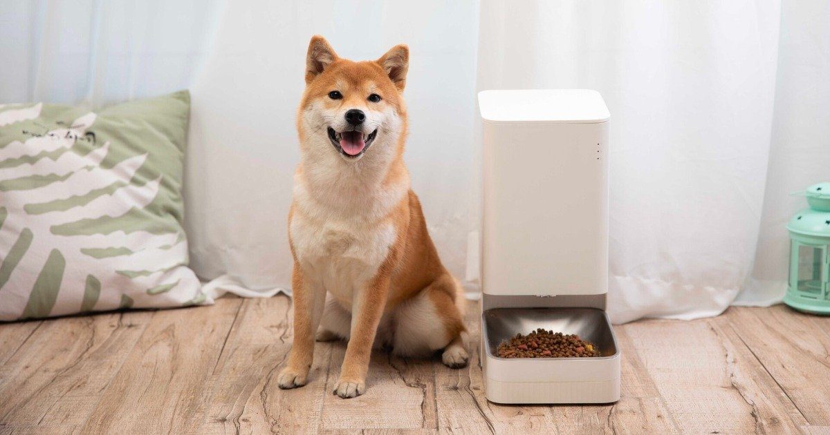 Xiaomi smart feeder: the ideal gadget for pets

