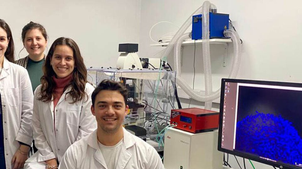A team of Argentine scientists develops an alternative therapy for bone cancer

