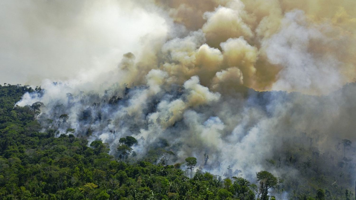 Brazil: more fires have been detected in the Amazon since January than in all of 2021
