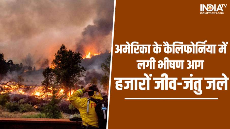fire- India TV Hindi News