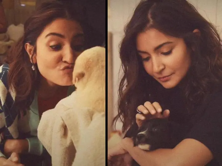 Seeing this style of Anushka Sharma, your heart will also melt, this cute video appeared

