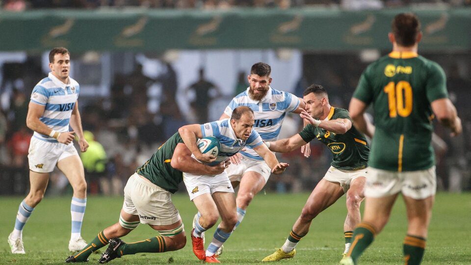 The Pumas fell to the Springboks and were last in the Rugby Championship
