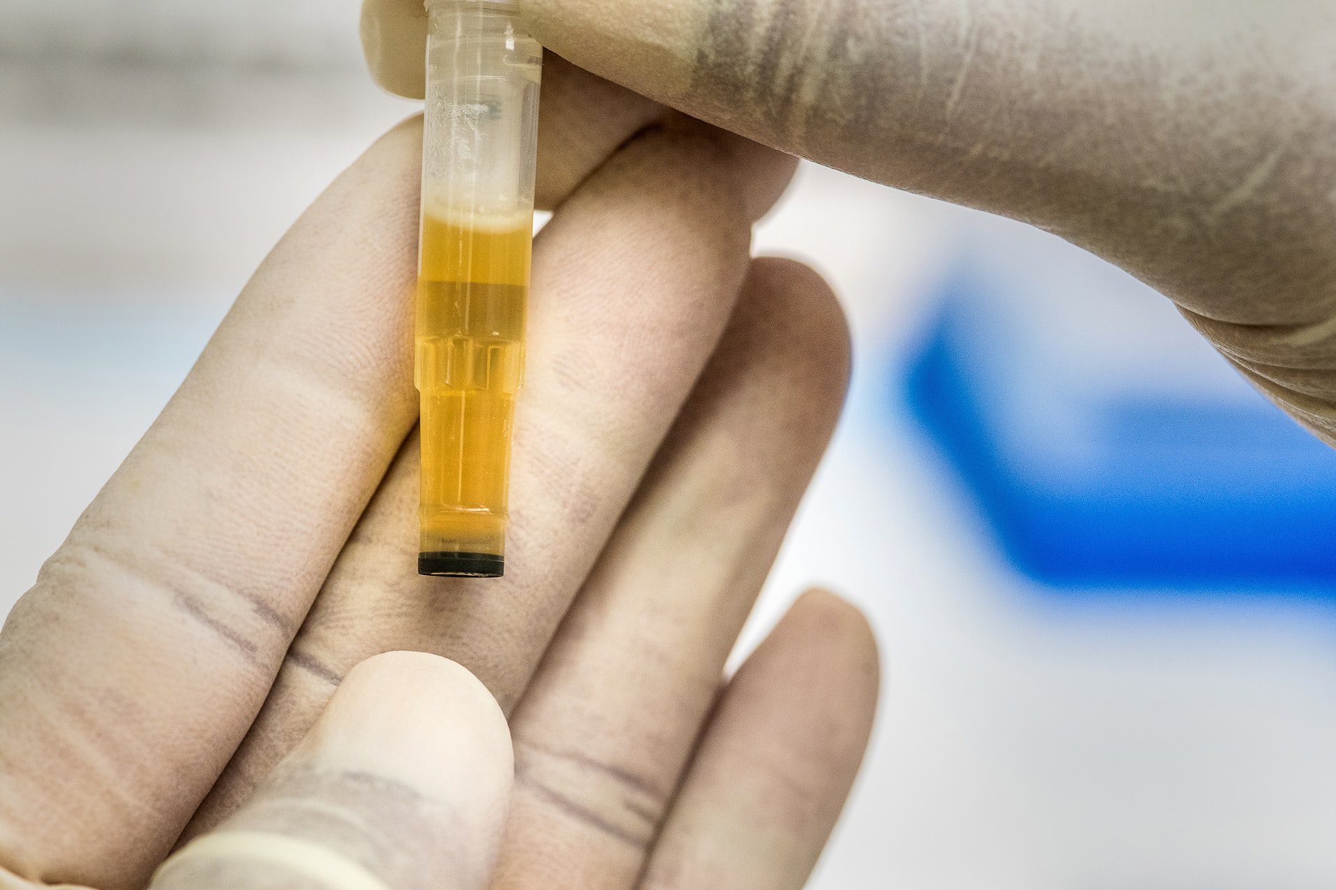Understanding The Purpose Of A Drug Test