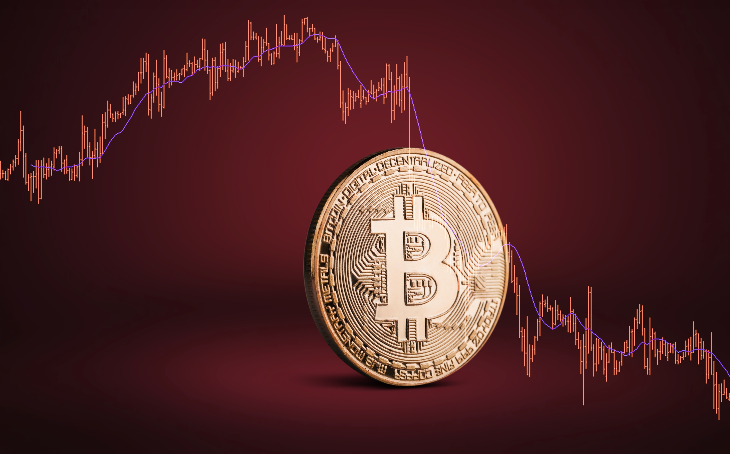 Bitcoin takes a small hit, but remains fairly stable
